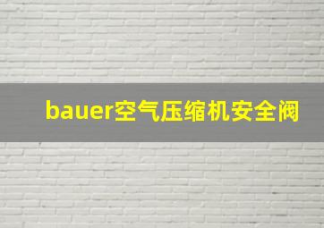 bauer空气压缩机安全阀