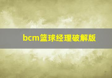 bcm篮球经理破解版