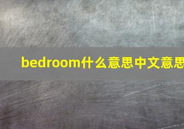 bedroom什么意思中文意思