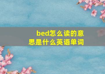 bed怎么读的意思是什么英语单词