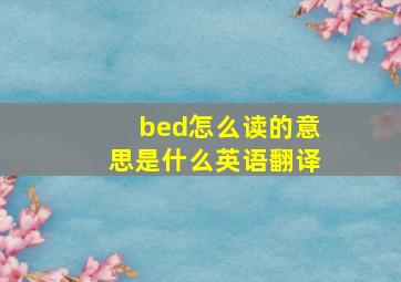 bed怎么读的意思是什么英语翻译