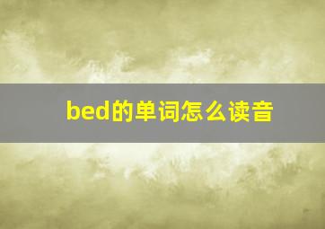 bed的单词怎么读音