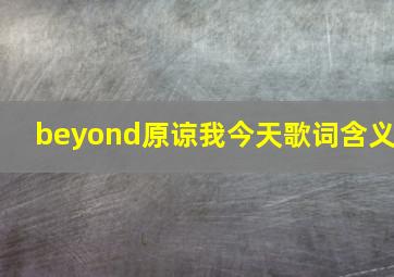 beyond原谅我今天歌词含义