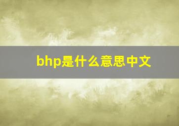 bhp是什么意思中文