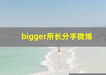 bigger所长分手微博