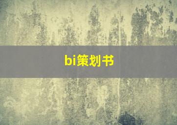 bi策划书