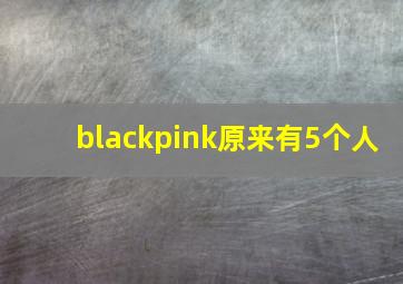 blackpink原来有5个人