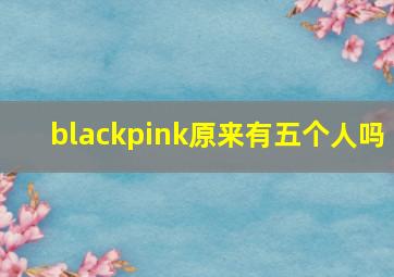 blackpink原来有五个人吗