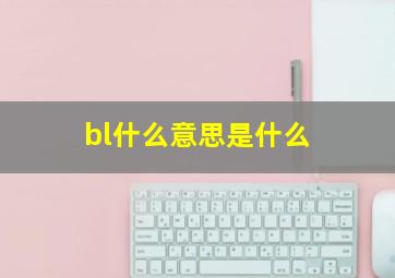 bl什么意思是什么