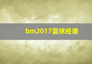 bm2017篮球经理