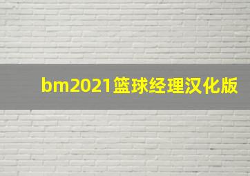 bm2021篮球经理汉化版