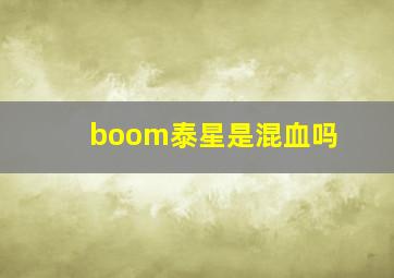 boom泰星是混血吗