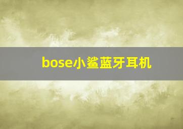 bose小鲨蓝牙耳机