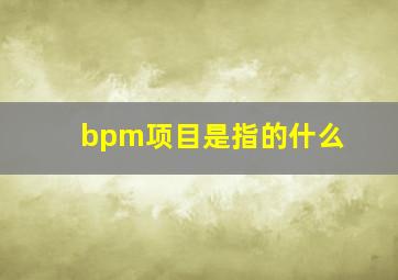 bpm项目是指的什么