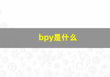 bpy是什么