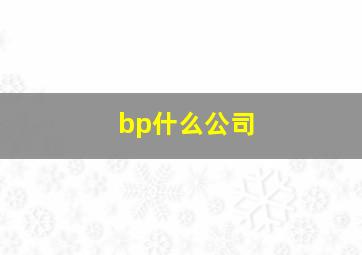 bp什么公司