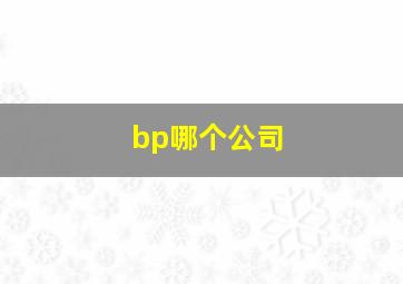 bp哪个公司