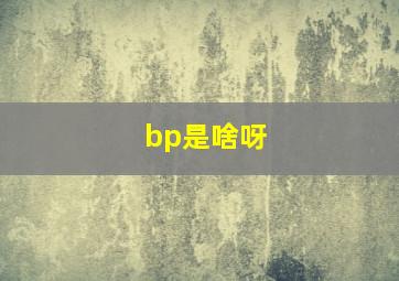 bp是啥呀