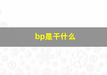 bp是干什么