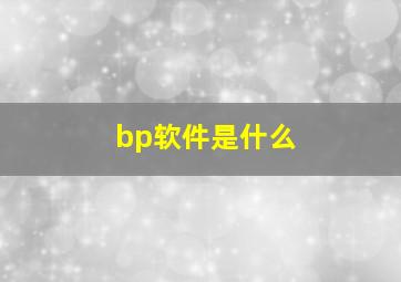 bp软件是什么