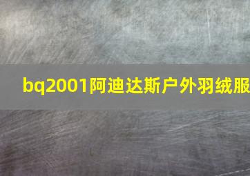 bq2001阿迪达斯户外羽绒服