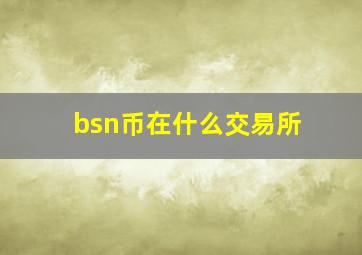 bsn币在什么交易所