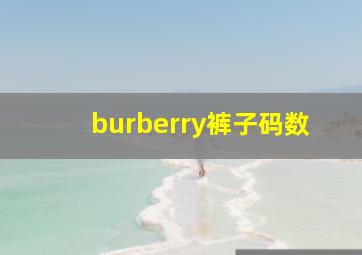 burberry裤子码数