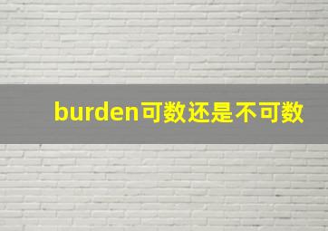 burden可数还是不可数