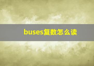 buses复数怎么读