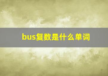 bus复数是什么单词