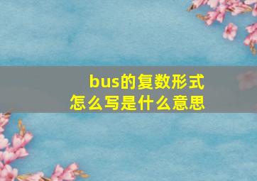 bus的复数形式怎么写是什么意思