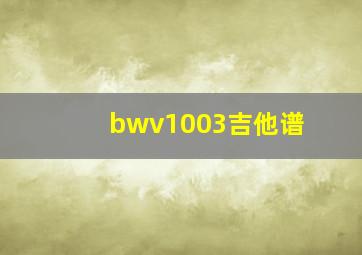 bwv1003吉他谱