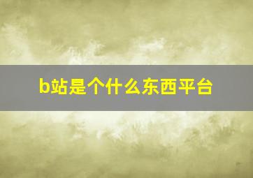 b站是个什么东西平台