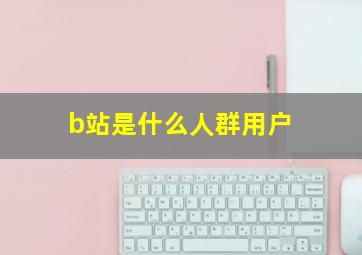 b站是什么人群用户