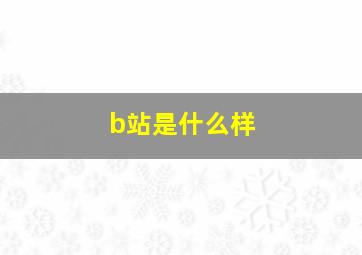 b站是什么样