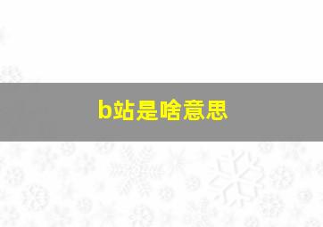 b站是啥意思