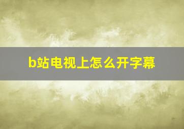 b站电视上怎么开字幕