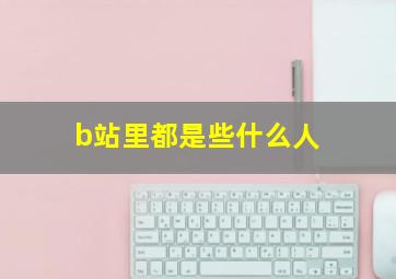 b站里都是些什么人