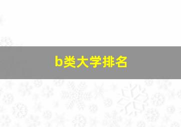 b类大学排名