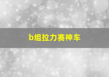 b组拉力赛神车