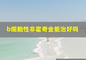 b细胞性非霍奇金能治好吗