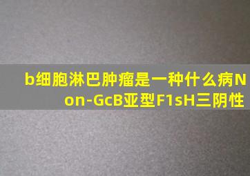 b细胞淋巴肿瘤是一种什么病Non-GcB亚型F1sH三阴性