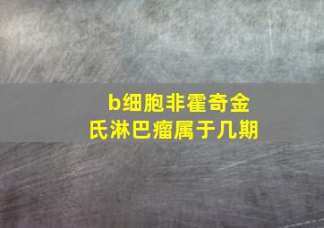 b细胞非霍奇金氏淋巴瘤属于几期