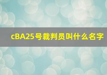 cBA25号裁判员叫什么名字