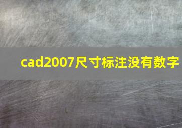 cad2007尺寸标注没有数字