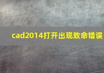 cad2014打开出现致命错误