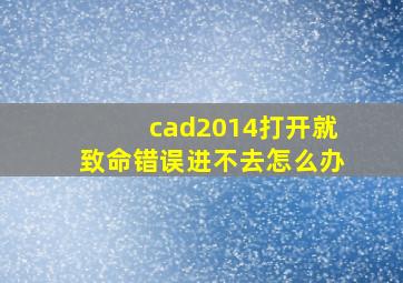 cad2014打开就致命错误进不去怎么办