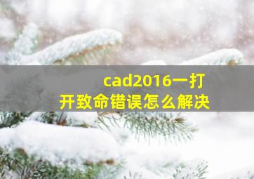 cad2016一打开致命错误怎么解决