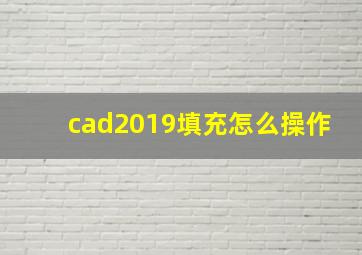 cad2019填充怎么操作