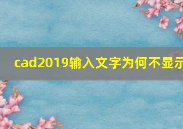 cad2019输入文字为何不显示